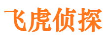 峨山市侦探调查公司